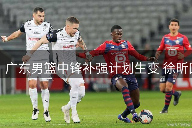 广东男篮中锋补强计划生变 徐昕回归时间表正式确认