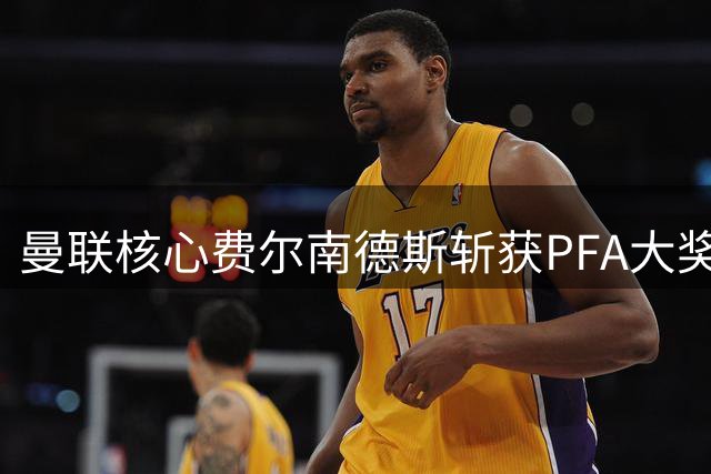 曼联核心费尔南德斯斩获PFA大奖 终结俱乐部16年空白