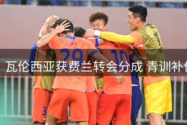 瓦伦西亚获费兰转会分成 青训补偿金达160万欧元