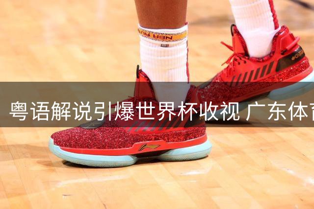 粤语解说引爆世界杯收视 广东体育频道创3.36亿人次传播佳绩