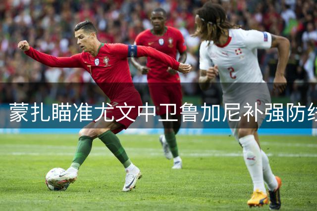 蒙扎瞄准尤文中卫鲁加尼补强防线