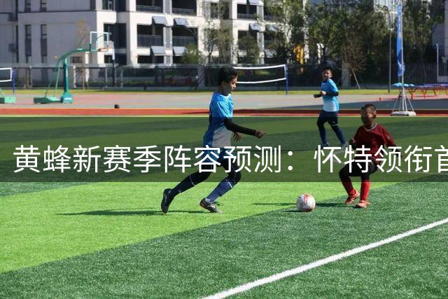 黄蜂新赛季阵容预测：怀特领衔首发五虎 37.5胜预期